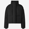 Chaqueta Grandview Black Label